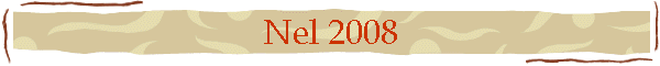 Nel 2008