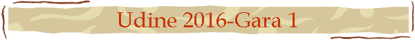 Udine 2016-Gara 1